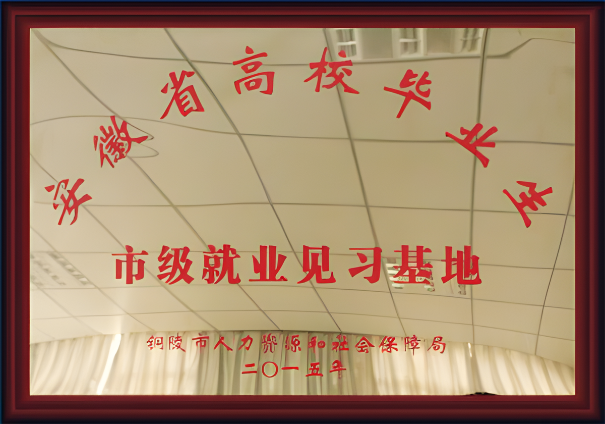 安徽省高校毕业生市级就业见习基地