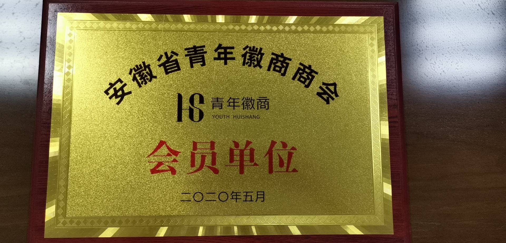 安徽省青年徽商商会会员单位